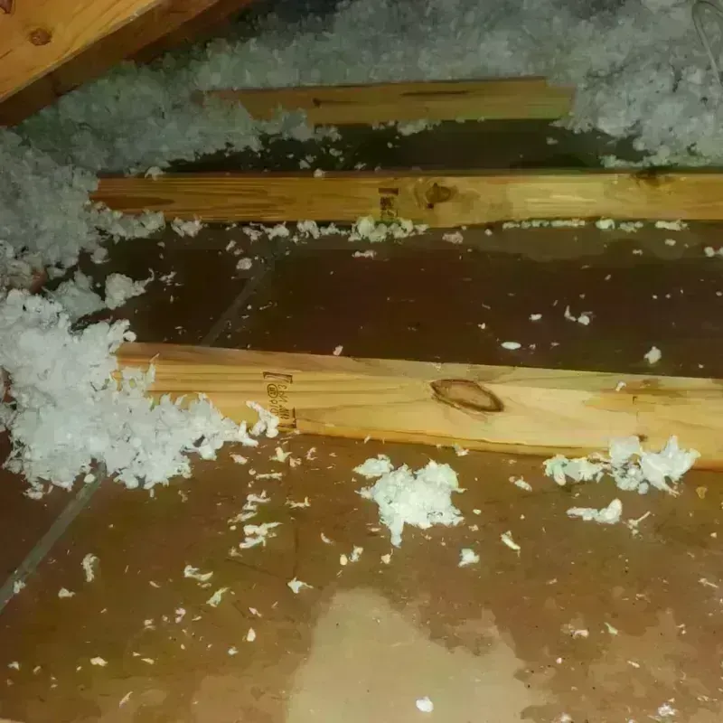 Attic Water Damage in Monticello, IL