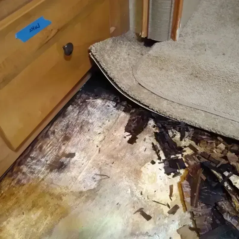 Best Wood Floor Water Damage Service in Monticello, IL